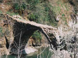 Düzköy Vaniti Köprüsü