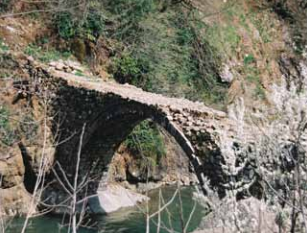 Düzköy Vaniti Köprüsü